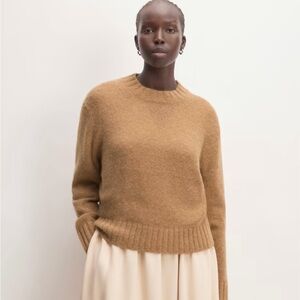 Everlane Alpaca Wool Sweater
